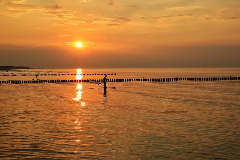 Calm Walking Image