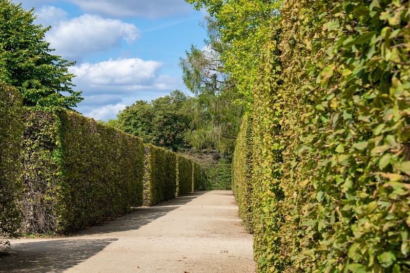 Labyrinth Maze Walkway Path